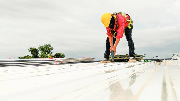 Professional Roof Repair & Installaion in La Grange, NC